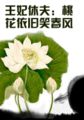 王妃休夫：桃花依旧笑春风