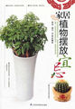 家居植物摆放宜忌