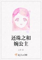 还珠之和婉公主