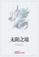 无阳之境