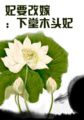 妃要改嫁：下堂木头妃