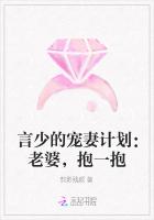 言少的宠妻计划：老婆，抱一抱