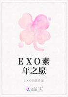 EXO素年之愿