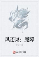 凤还巢：魔障