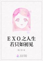 EXO之人生若只如初见