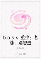 boss重生：老婆，别想逃