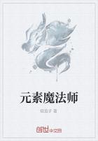 元素魔法师