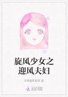 旋风少女之迎风夫妇