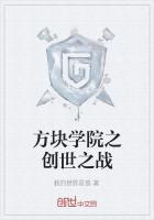 方块学院之创世之战