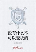 没有什么不可以麦块的