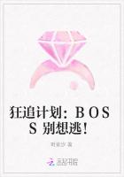 狂追计划：BOSS别想逃！