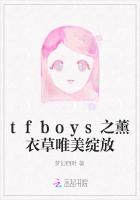 tfboys之薰衣草唯美绽放