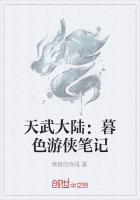 天武大陆：暮色游侠笔记