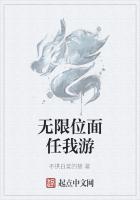 无限位面任我游