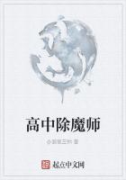 高中除魔师