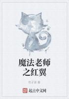 魔法老师之红翼