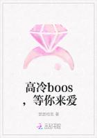 高冷boos，等你来爱