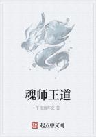 魂师王道