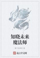 知晓未来魔法师