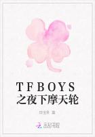 TFBOYS之夜下摩天轮