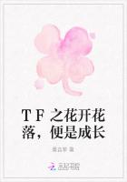 TF之花开花落，便是成长