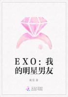 EXO：我的明星男友