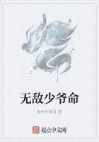 无敌少爷命