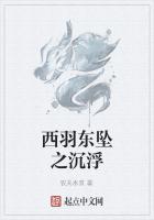 西羽东坠之沉浮