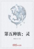 第五种族：灵