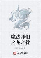 魔法师们之龙之骨