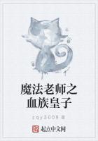 魔法老师之血族皇子