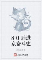 80后进京奋斗史