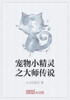 宠物小精灵之大师传说