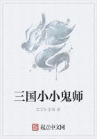 三国小小鬼师