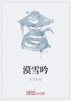 漠雪吟