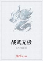 战武无极