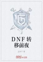 DNF转移前夜