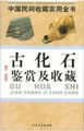 中国民间收藏实用全书：古化石