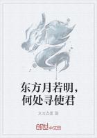 东方月若明，何处寻使君