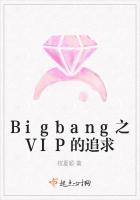 Bigbang之VIP的追求