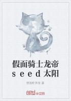 假面骑士龙帝seed太阳