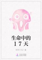 生命中的17天