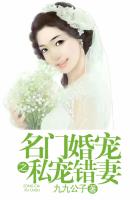 名门谋婚之私宠错妻