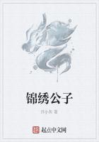 锦绣公子