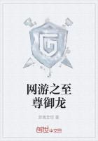 网游之至尊御龙