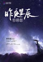 昨夜星辰恰似您