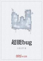 超能bug