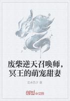 废柴逆天召唤师，冥王的萌宠甜妻