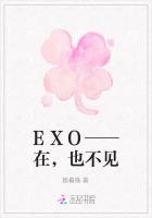 EXO——在，也不见