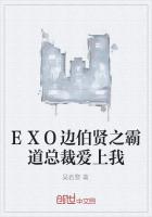 EXO边伯贤之霸道总裁爱上我